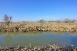 Wiener Neustädter Kanal fließt malerisch durch trockenes Grasland von Tomherkules
