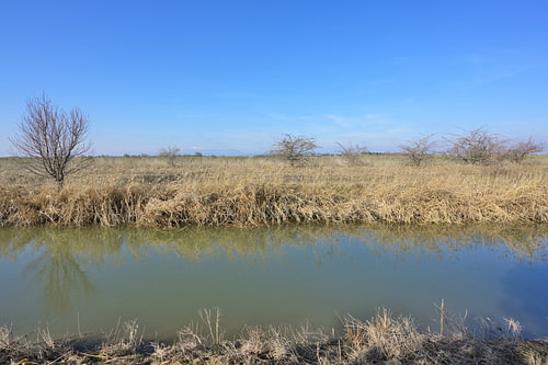 Wiener Neustädter Kanal fließt malerisch durch trockenes Grasland
