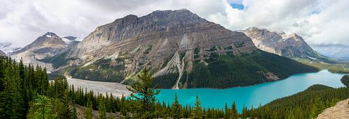 Panoramaaufnahme des Peyto Lake mit Bergen und Wolken im Hintergrund