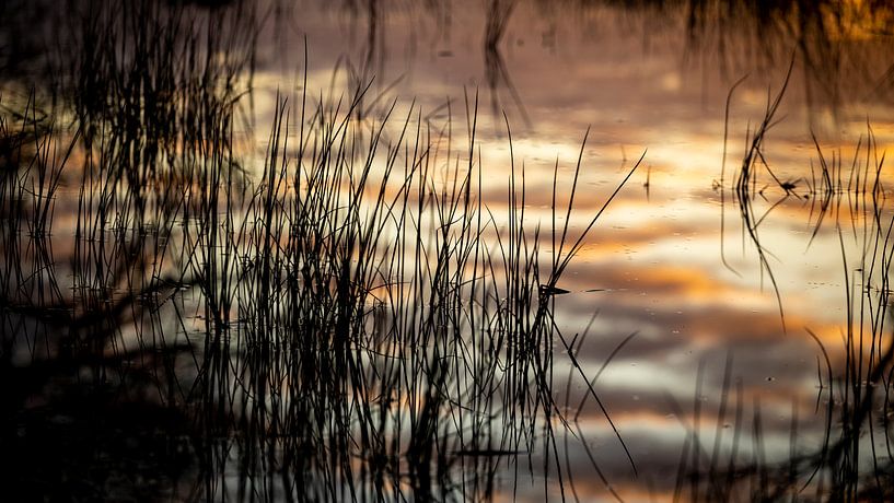 les reflets du lever du soleil dans l'eau par Hans de Waay