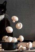 Vliegend voedsel: champignon met een kat