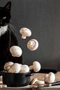 Vliegend voedsel: champignon met een kat van Gaby Mohr thumbnail