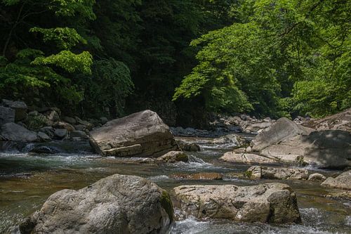 Water and rocks Miyajima Japan