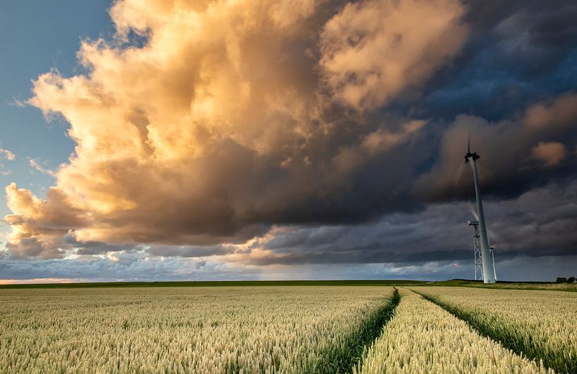 prachtige zonsondergang storm hemel over tarweveld van Olha Rohulya