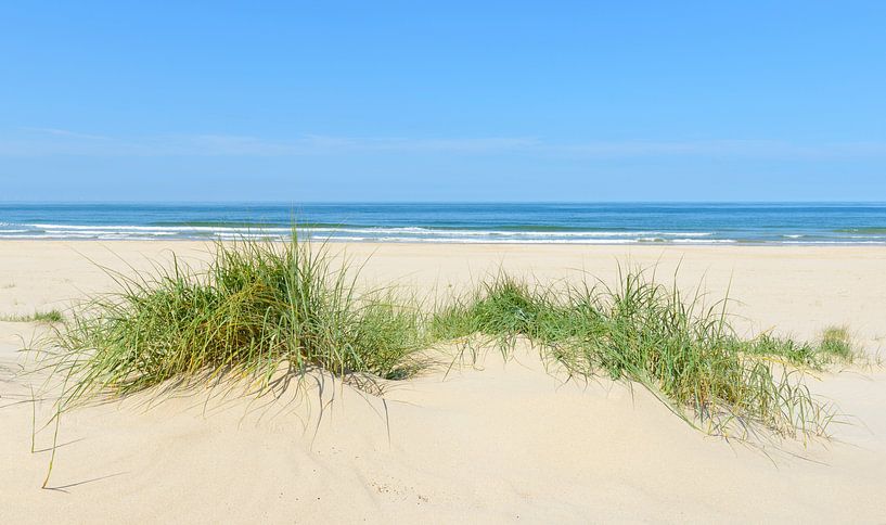 Summer at the beach with sand dunes and waves by Sjoerd van der Wal Photography