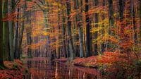 Indian summer in Twente