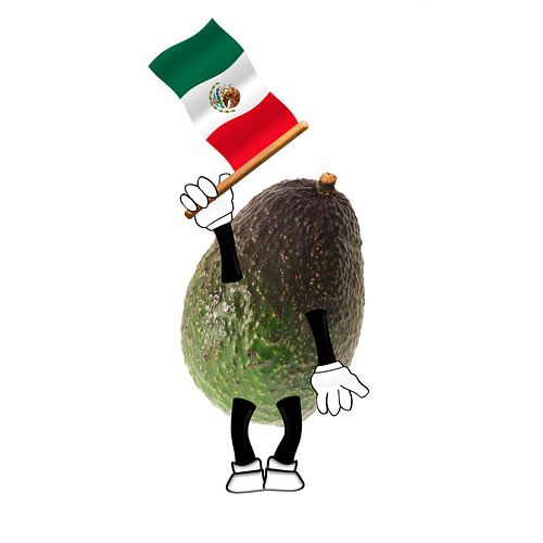 Cheerful avocado with Mexican flag