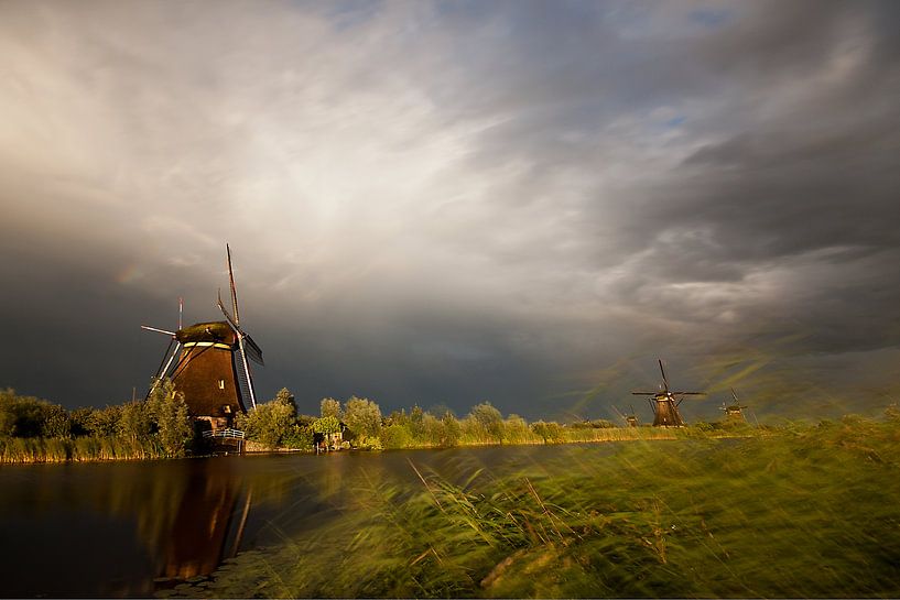 Schlechtes Wetter bei den Windmühlen in Kinderdijk von Halma Fotografie