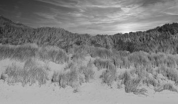 Zeeland in schwarz-weiß. von Jose Lok