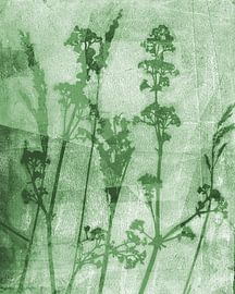 Sogni di fiori. Retro flowers, plants and grasses in green. by Dina Dankers