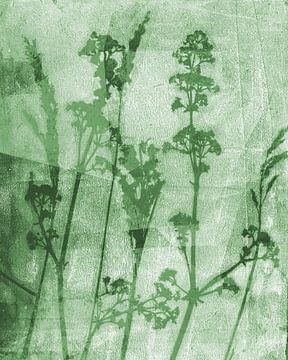 Sogni di fiori.  Retro-Blumen, Pflanzen und Gräser in Grün von Dina Dankers