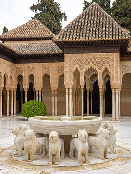 Alhambra - 'Patio de los Leones' by René Weijers