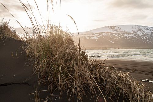 Zwart strand in IJsland by Chris Snoek
