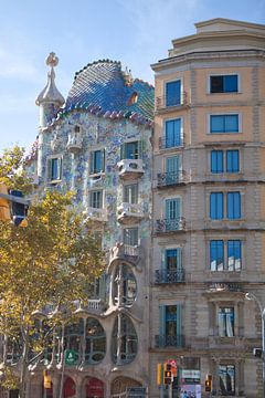 Barcelona - Casa Batlló van t.ART