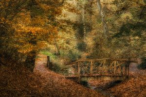 Herfst van Moetwil en van Dijk - Fotografie