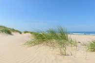 Dunes à la plage lors d'une belle journée d'été par Sjoerd van der Wal Photographie Aperçu