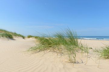 Dünen am Strand während eines schönen Sommertages von Sjoerd van der Wal