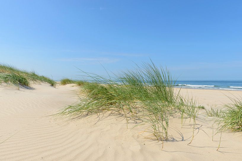 Dunes à la plage lors d'une belle journée d'été par Sjoerd van der Wal Photographie