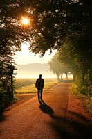 Der Weg ins Licht