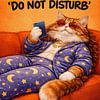 Do Not Disturb – Chill Cat Attitude by Dodik Hariyono