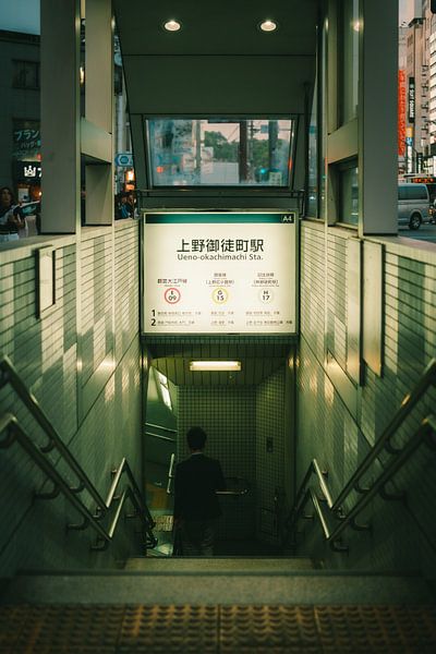 Secrets of the metropolis: Japan's modern railway station scene by NZME Photography
