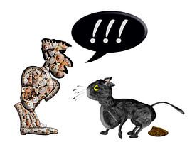 Cat poop in the garden. Disgruntled gardener. by Grüntyers .