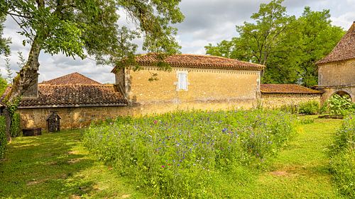 wilde bloemen in de tuin van het klooster van Flaran