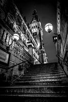 Fotografie Hamburg Architektur - Das Hamburger Rathaus