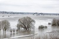 Les plaines inondables du Rhin près de Doorweth.