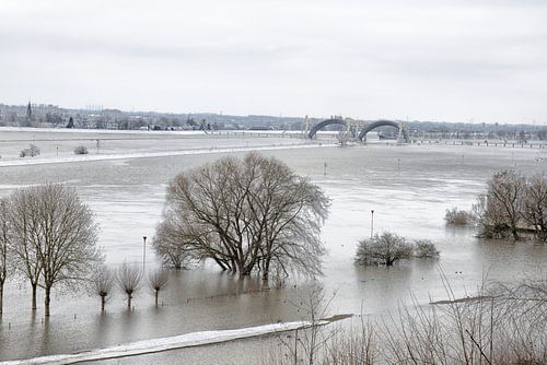 Les plaines inondables du Rhin près de Doorweth.