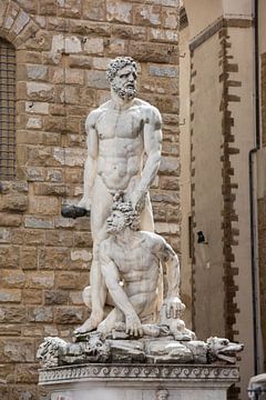 Hercules and Cacus door Baccio Bandinelli in Florence ( Piazza della Signoria), Italie van Joost Adriaanse