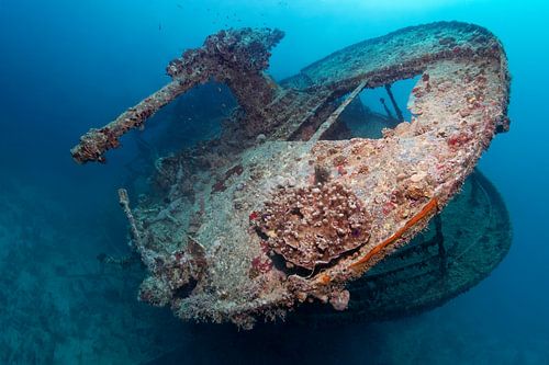 Heck des Schiffswracks SS Thistlegorm mit Maschinenkanone