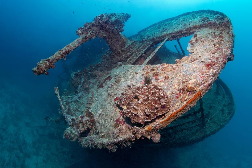Achtersteven van het scheepswrak SS Thistlegorm met machinegeweer van Norbert Probst