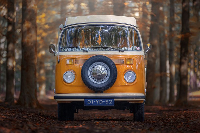 Klassieke Volkswagen T2B uit 1977 van GoWildGoNaturepictures