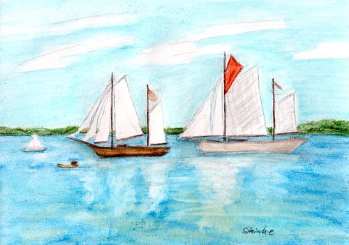 Zeilschepen op de fjord