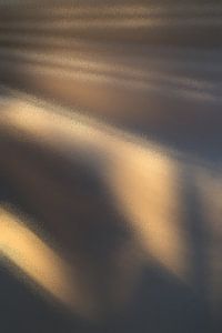 Verlichte Golven