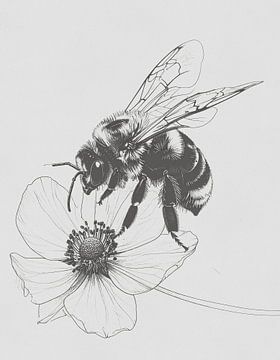 Minimal art - line drawing bee and flower 01 by Emiel de Lange