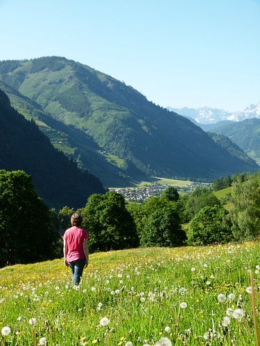 Berglandschap met persoon