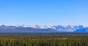 Panorama: Besneeuwde Alaska Range vanaf de Denali Highway