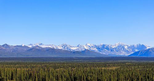 Panorama: Snow-Capped Alaska Range from the Denali Highway