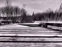 Hole in the boardwalk