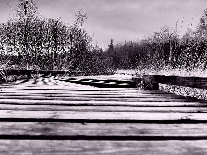 Hole in the boardwalk van Twan van G.