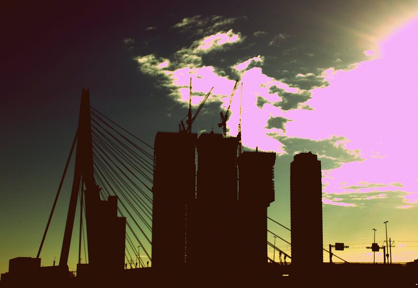 Erasmusbrug by Francisco de Almeida