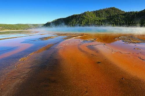 Grand Prismatic Spring in Yellowstone