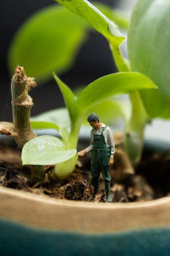 Des personnages miniatures dans notre monde de grands