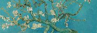 Almond blossom painting by Vincent van Gogh, panoramic version by Schilders Gilde thumbnail