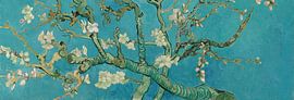 Almond blossom painting by Vincent van Gogh, panoramic version