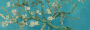Amandelbloesem schilderij van Vincent van Gogh, panorama versie