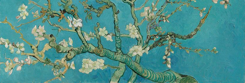 Almond blossom painting by Vincent van Gogh, panoramic version by Schilders Gilde