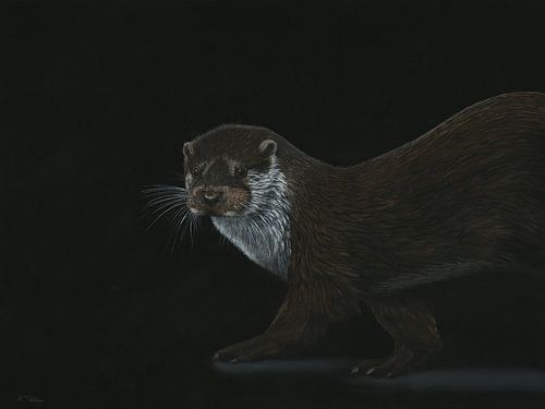 Loutre en route sur Helga Pohlen - ThingArt